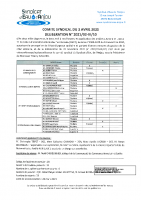 DCS 2021-02-IV-10 BUDGET PRIMITIF 2021-BP.PDF