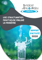 sea-rapport-activite-2020
